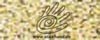 9842 24 Metallic No.40 sparkling/supertwist