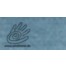 9841 Rayon No.40 Farbnr. 1160