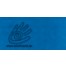 9841 Rayon No.40 Farbnr. 1177